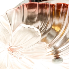 Люстра пристібна коралового кольору на 2 лампи (SN002P)