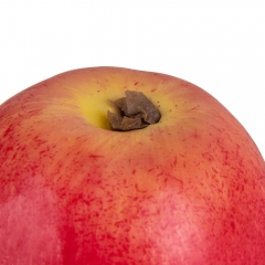 Яблоко красное (9017-002)