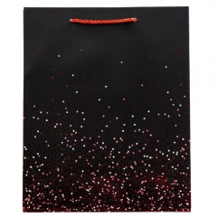 Подарунковий пакет "Яскраві миті", 30*41,5 см (9069-029)