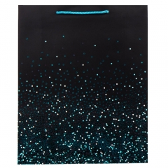 Подарунковий пакет "Яскраві миті", 30*41,5 см (9069-029)