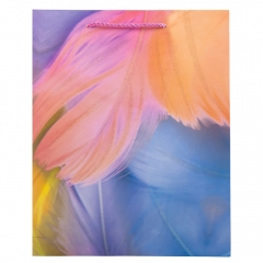 Подарунковий пакет "Кольорове пір