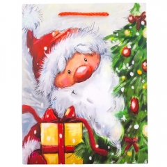 Подарочный пакет "Санта Клаус", 18*23 см. * Рандомный выбор дизайна. (9166-001)