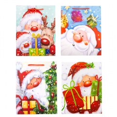Подарочный пакет "Санта Клаус", 31*42 см. * Рандомный выбор дизайна. (9166-003)