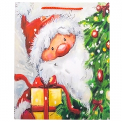 Подарочный пакет "Санта Клаус", 31*42 см. * Рандомный выбор дизайна. (9166-003)