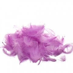 Наполнитель  "Жар-птица" *рандомный выбор цвета (8121-007)