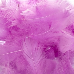 Наполнитель  "Жар-птица" *рандомный выбор цвета (8121-007)