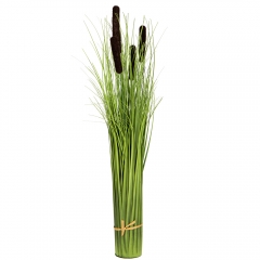 Декоративний очерет, коричневий (8931-024)