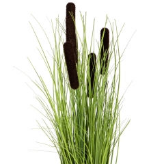Декоративний очерет, коричневий (8931-024)