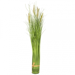 Декоративный камыш, белый (8931-026)
