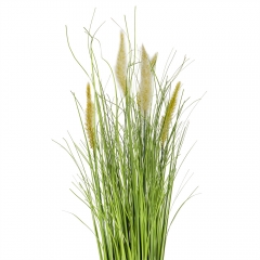 Декоративный камыш, белый (8931-026)