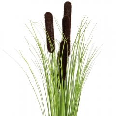 Декоративный камыш, коричневый (8931-028)
