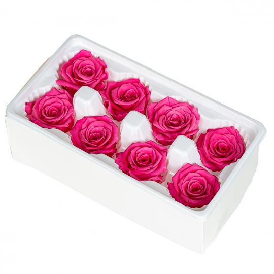 Стабілізування троянда, рожева (8430-018)