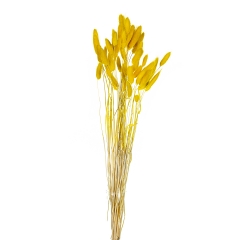 Стабилизированный лагурус *рандомный выбор цвета (8430-021)