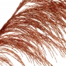 Сухоцвіт Очерет, червоний (8430-048)