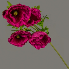 Мак (105 см) (004FY-4/BEAUTY)