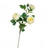Гілка троянди, біла (8721-011)