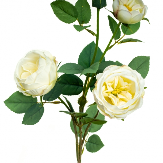 Гілка троянди, біла (8721-011)