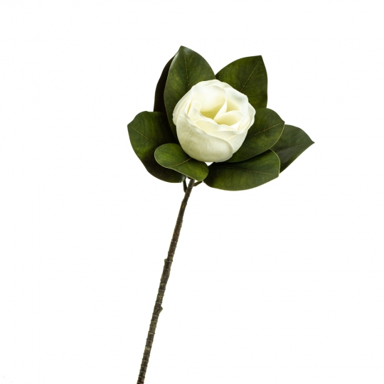 Квітка магнолії, білий (8721-016)
