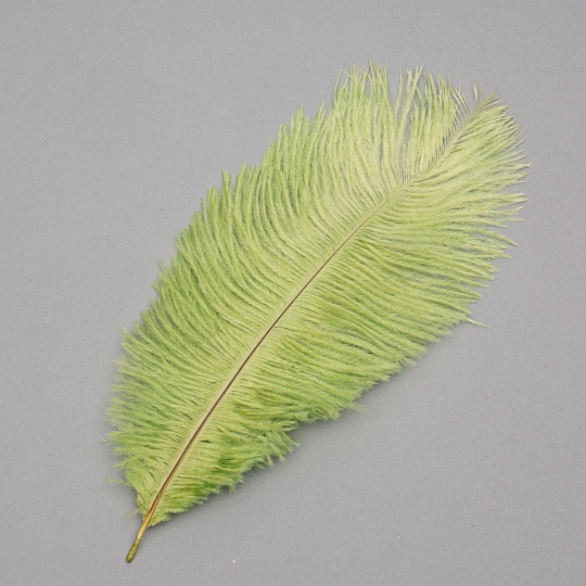 Страусине перо 25-30 см зелений (8501-002/green)