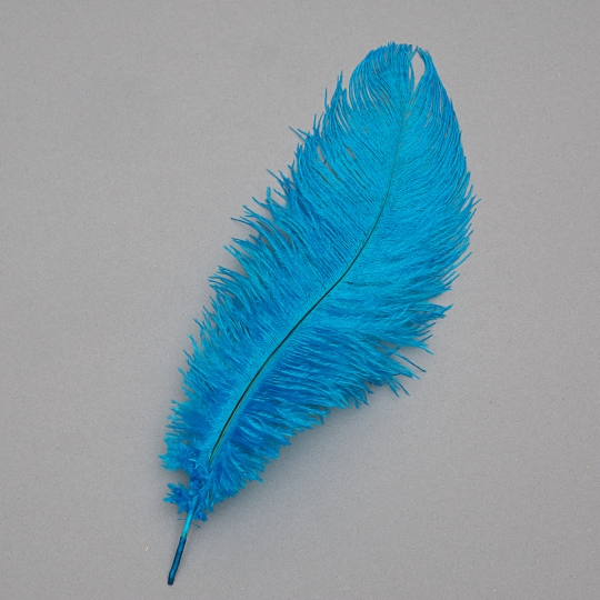 Страусине перо 25-30 см синій (8501-002/blue)