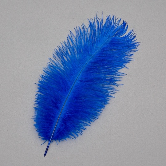 Страусине перо 25-30 см синьо-фіолетовий (8501-002/blue-violet)