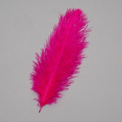 Страусиное перо 25-30 см  малиновый (8501-002/crimson)