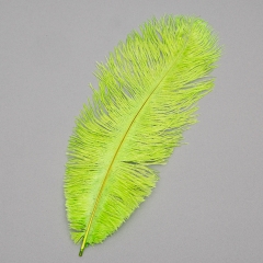 Страусиное перо 25-30 см салатовый (8501-002/light-green)