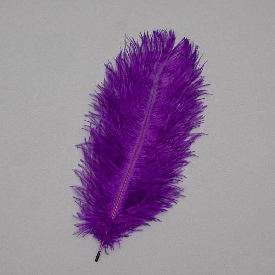 Страусине перо 25-30 см фіолетовий (8501-002/purple)