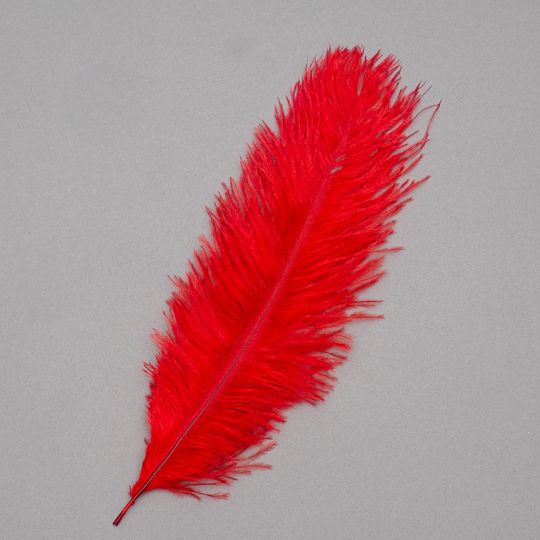 Страусине перо 25-30 см червоний (8501-002/red)