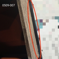 Книга-сейф "Король зверей" (00BR-0509-007)