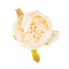 Набор декоративных цветов "Бутон пионии" белый (6018-036)