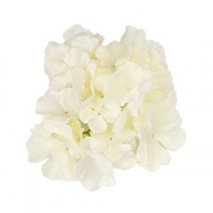 Головка гортензии, белая, 16 см (9222-001)