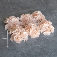 Головка гортензии, кремовая, 16 см (9222-002)