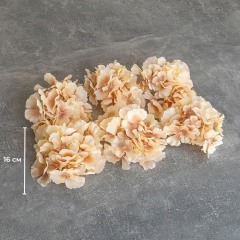 Головка гортензии, бежевая, 16 см (9222-006)