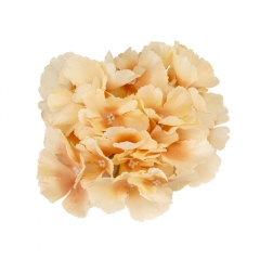 Головка гортензии, бежевая, 16 см (9222-006)