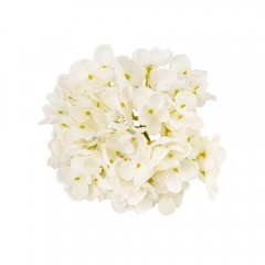 Головка гортензии мелкоцветная, белая, 14 см (9222-008)