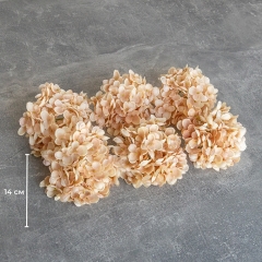 Головка гортензии мелкоцветная, бежевая, 14 см (9222-013)