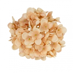 Головка гортензии мелкоцветная, бежевая, 14 см (9222-013)