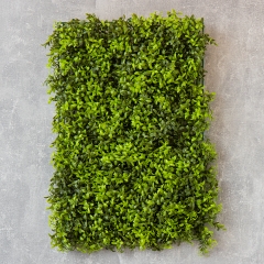 Искусственный фитомодуль "Самшит", 40*60 см (9089-008)