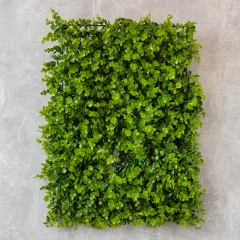 Искусственный фитомодуль "Самшит", 40*60 см (9089-009)