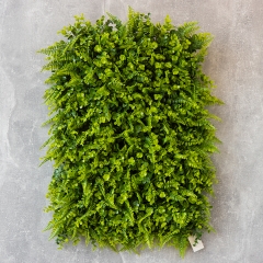 Искусственный фитомодуль "Самшит", 40*60 см (9090-007)