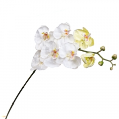 Орхидея белая 137 см (2000-041WT)