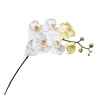 Орхідея біла 137 см (2000-041WT)