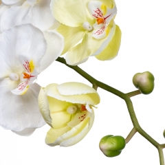 Орхидея белая 137 см (2000-041WT)