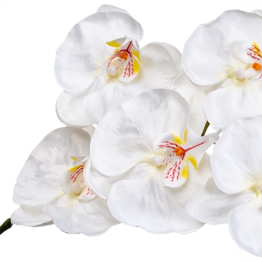 Орхідея біла 137 см (2000-041WT)