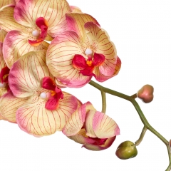 Орхидея золотистая 137 см (2000-042GN)