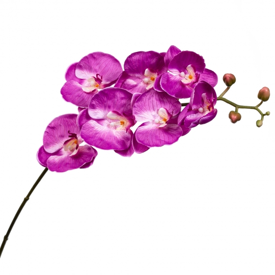 Орхідея малинова 137 см (2000-044PL)