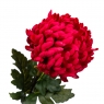 Хризантема червона 87 см (2000-064RD)
