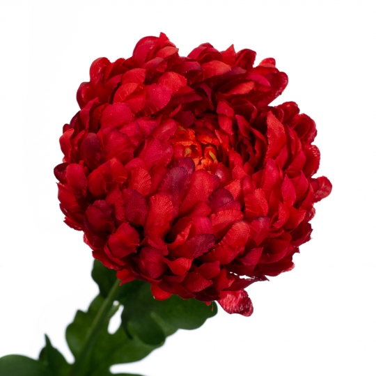Хризантема світло-червона 64см (2000-069OG)
