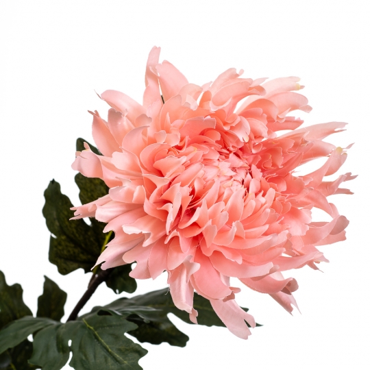 Хризантема ніжно-рожева 79 см (2000-070PH)